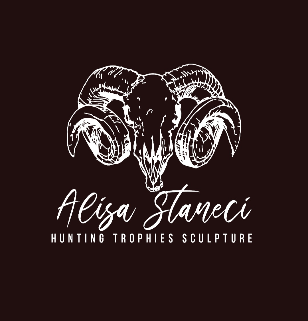 Custom artist presentation website design showcasing avant-garde visual identity and professional web development